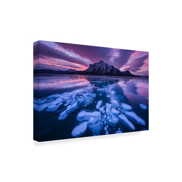 April Xie 'Abraham Lake' Canvas Art,12x19